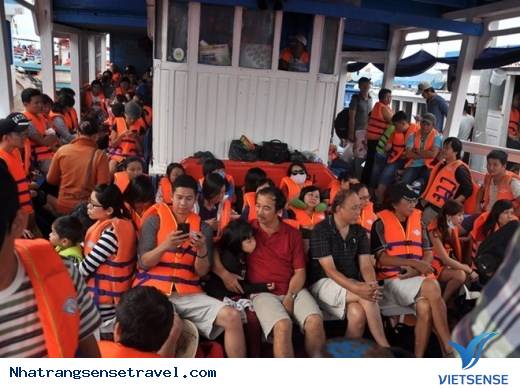 Bình Ba Thanh Bình Hòa Cùng Nhịp Sống Tấp Nập - Ảnh 1