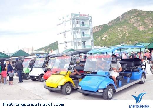 Bình Ba Thanh Bình Hòa Cùng Nhịp Sống Tấp Nập - Ảnh 4