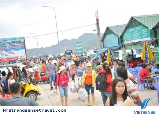 Bình Ba Thanh Bình Hòa Cùng Nhịp Sống Tấp Nập - Ảnh 3