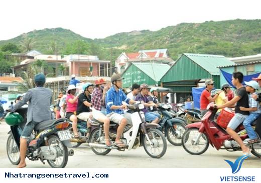 Bình Ba Thanh Bình Hòa Cùng Nhịp Sống Tấp Nập - Ảnh 9