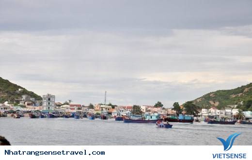 Bình Ba Thanh Bình Hòa Cùng Nhịp Sống Tấp Nập - Ảnh 2