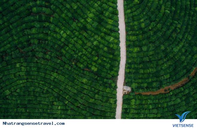 Bộ Ảnh Flycam Danh Lam Thắng Cảnh Việt Nam Từ Bắc Vào Nam - Ảnh 4 Bộ Ảnh Flycam Danh Lam Thắng Cảnh Việt Nam Từ Bắc Vào Nam - Ảnh 4