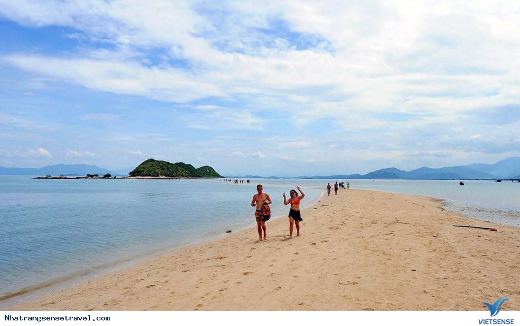 Cắm Trại Ngủ Lều Bên Con Đường Xuyên Biển Điệp Sơn - Ảnh 9