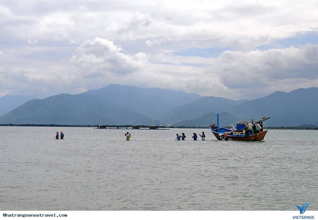 Cắm Trại Ngủ Lều Bên Con Đường Xuyên Biển Điệp Sơn - Ảnh 10