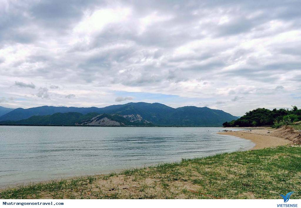 Cắm Trại Ngủ Lều Bên Con Đường Xuyên Biển Điệp Sơn - Ảnh 15