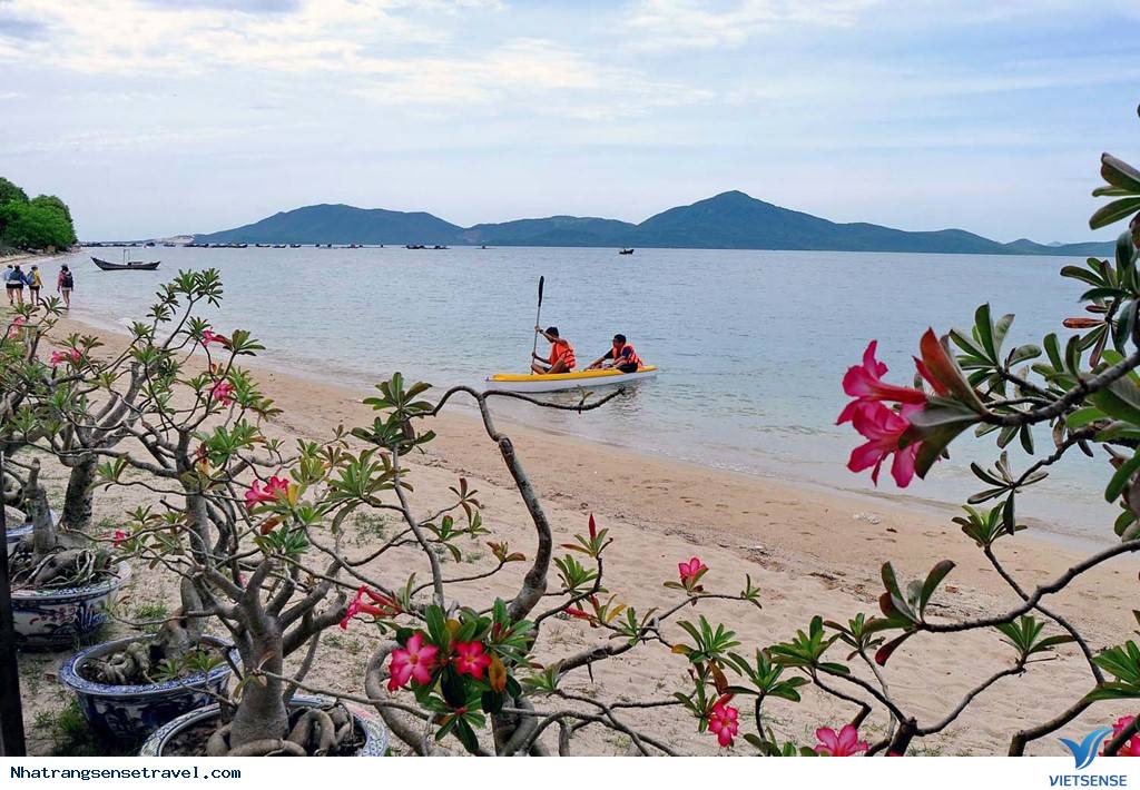 Cắm Trại Ngủ Lều Bên Con Đường Xuyên Biển Điệp Sơn - Ảnh 6