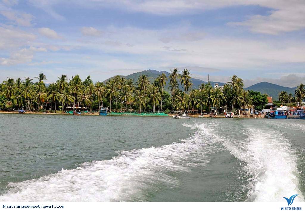 Cắm Trại Ngủ Lều Bên Con Đường Xuyên Biển Điệp Sơn - Ảnh 2