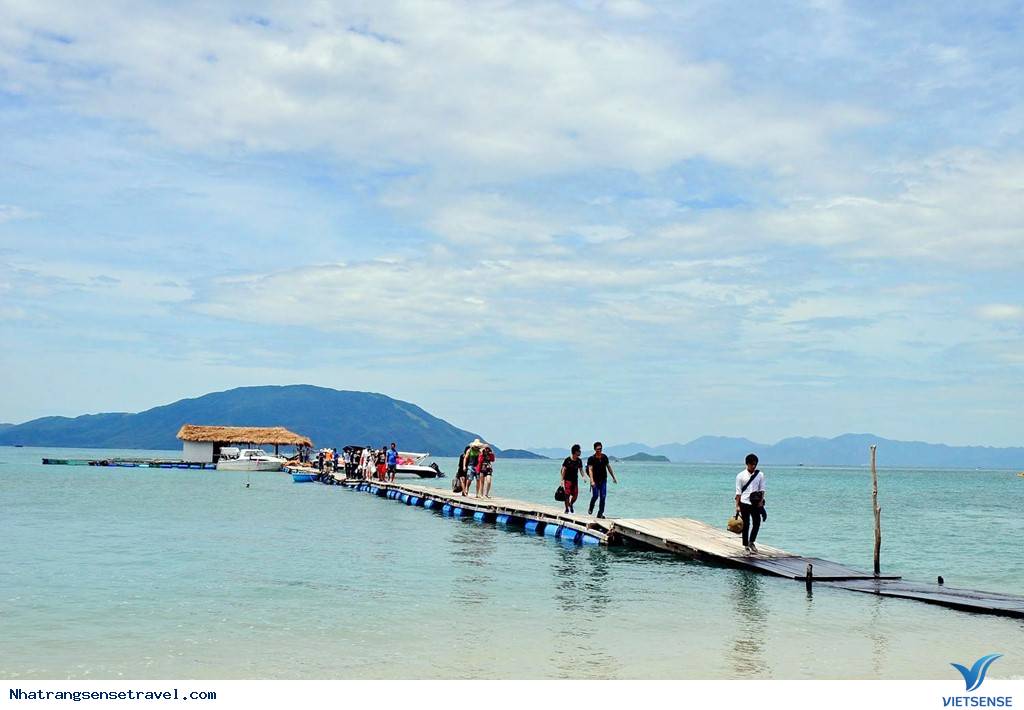 Cắm Trại Ngủ Lều Bên Con Đường Xuyên Biển Điệp Sơn - Ảnh 3