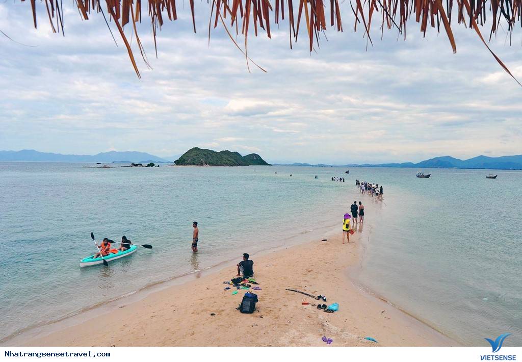 Cắm Trại Ngủ Lều Bên Con Đường Xuyên Biển Điệp Sơn - Ảnh 7