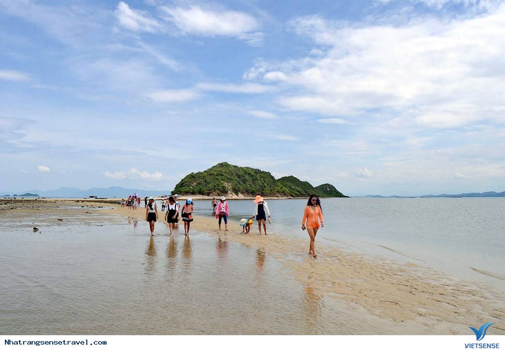 Cắm Trại Ngủ Lều Bên Con Đường Xuyên Biển Điệp Sơn - Ảnh 13