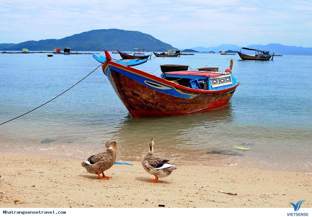 Cắm Trại Ngủ Lều Bên Con Đường Xuyên Biển Điệp Sơn - Ảnh 14