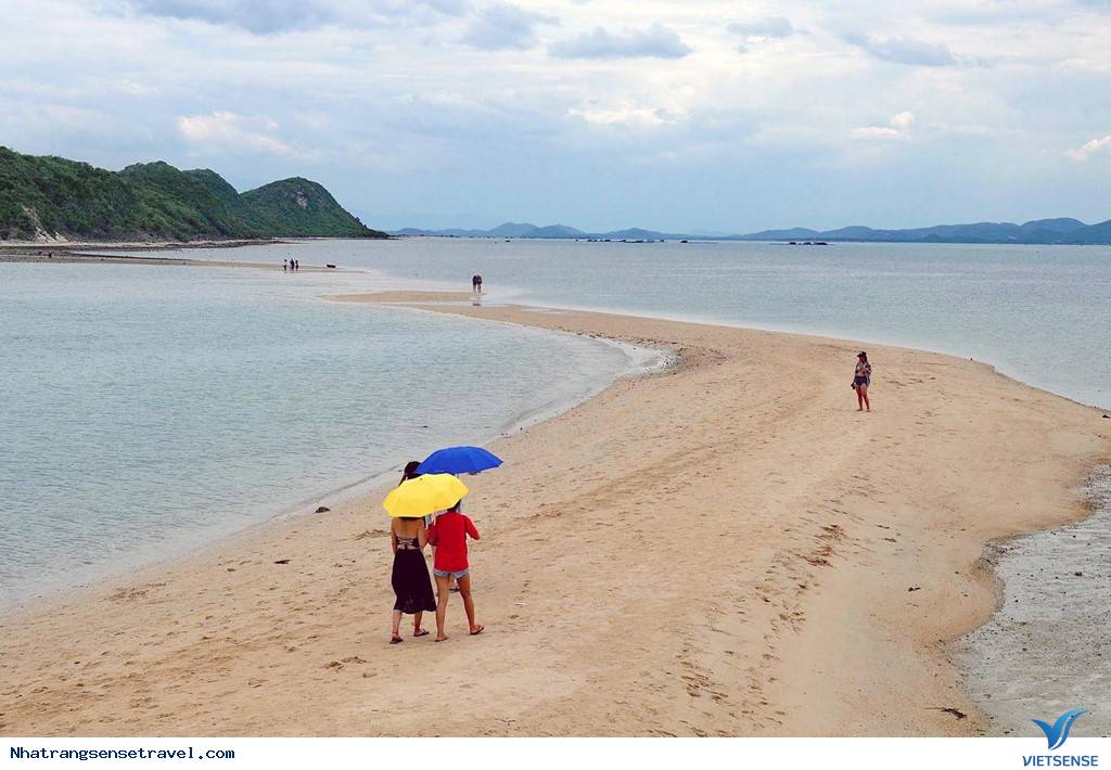 Cắm Trại Ngủ Lều Bên Con Đường Xuyên Biển Điệp Sơn - Ảnh 11