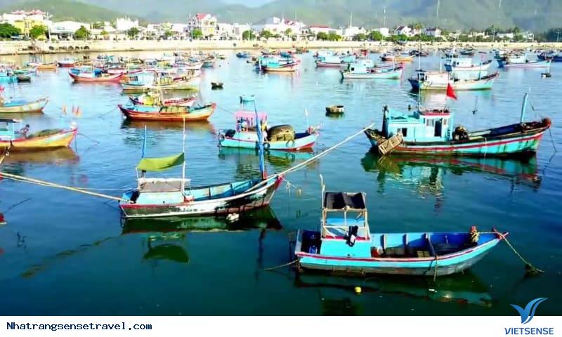 Cảng Cá Vĩnh Lương nằm ở đâu? Cảng Cá Vĩnh Lương nằm ở đâu?