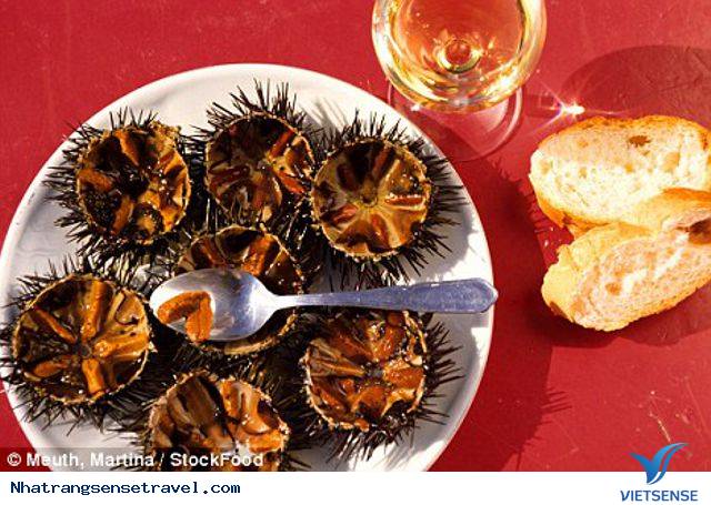 Cháo Nhum - Món Quà Tặng Hấp Dẫn Từ Biển Cả - Ảnh 3 Cháo Nhum - Món Quà Tặng Hấp Dẫn Từ Biển Cả - Ảnh 3