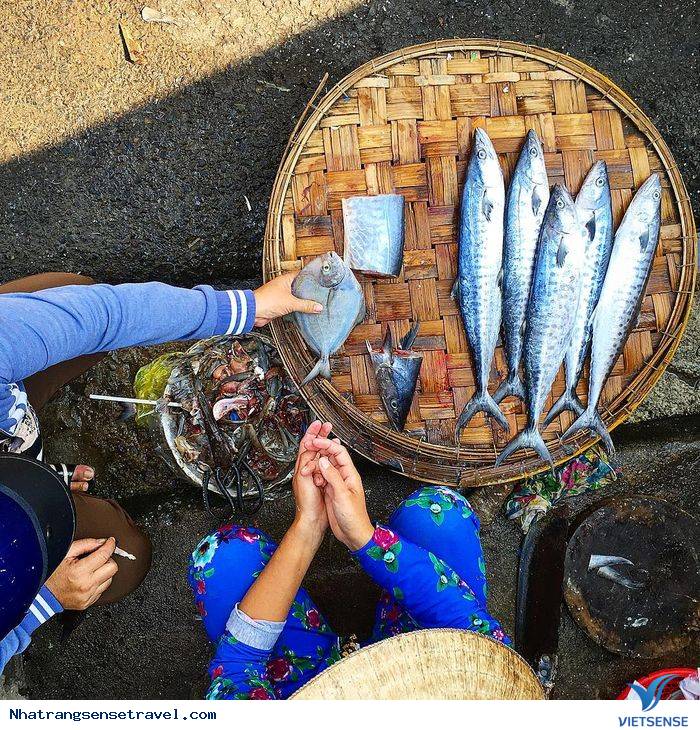 Chợ Xóm Mới Nha Trang có gì? Chợ Xóm Mới Nha Trang có gì?