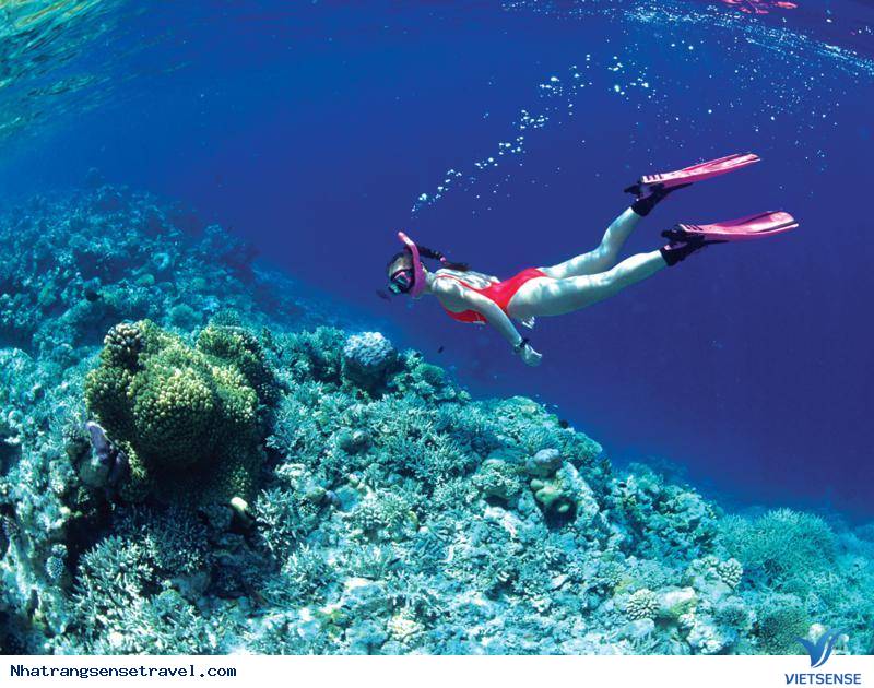 Chơi gì ở Hòn Một? - Ảnh 1