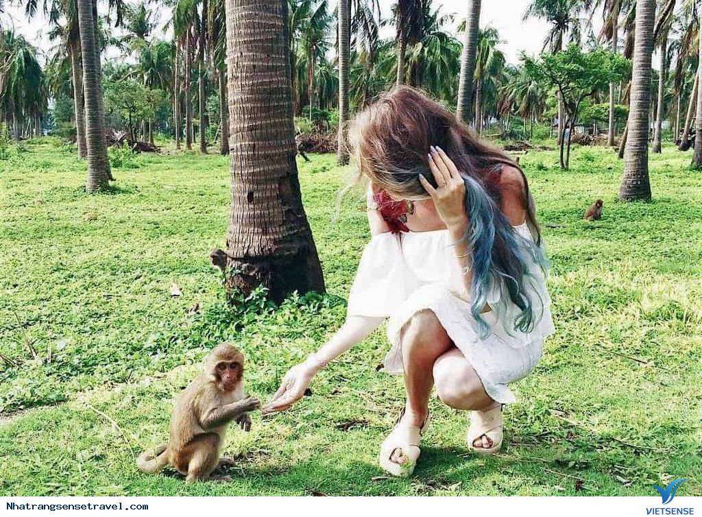 Chơi gì ở Nha Trang? - Phần 1 - Ảnh 1