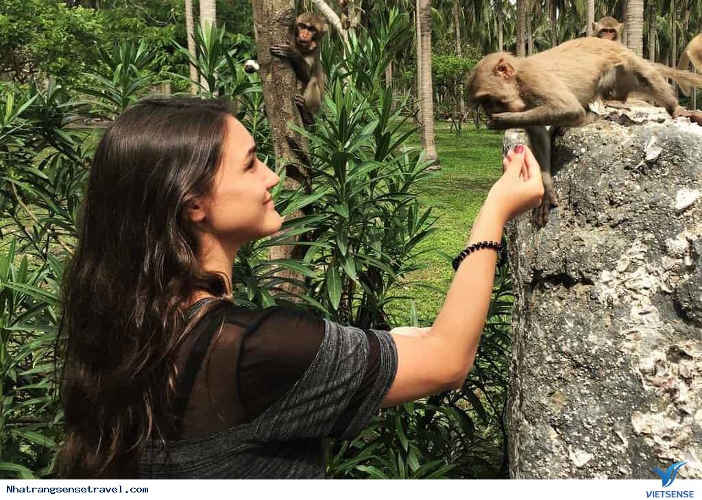 Chơi gì ở Nha Trang? - Phần 1 - Ảnh 3