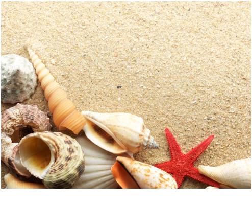 Chụp Ảnh Với Biển Xanh Cát Trắng Như Thế Nào Để Ảo Diệu Nhất - Ảnh 2