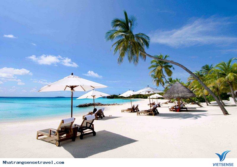 Có chuyến đi thăm quan Nha Trang nào vừa rẻ vừa đẹp không? - Ảnh 2 Có chuyến đi thăm quan Nha Trang nào vừa rẻ vừa đẹp không? - Ảnh 2