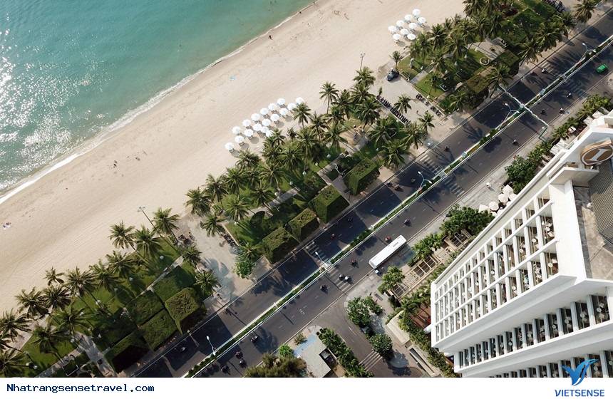 Tiềm năng hành trình trên con đường triệu đô - Ảnh 2