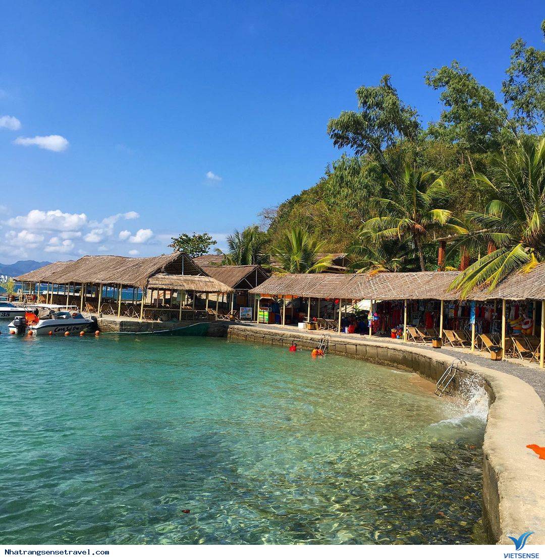 Con Sẻ Tre Ở Đâu?