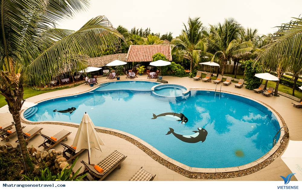 Công ty Thắng Lợi Tiếp Nhận Quản Lý Pegasus Resort Phan Thiết - Ảnh 1