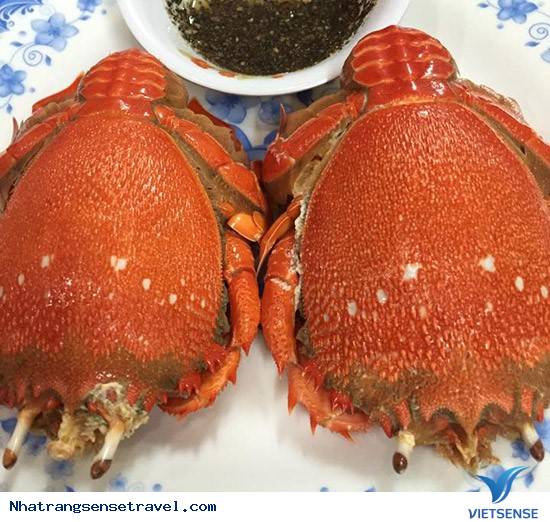 Cua Huỳnh Đế - Ảnh 1