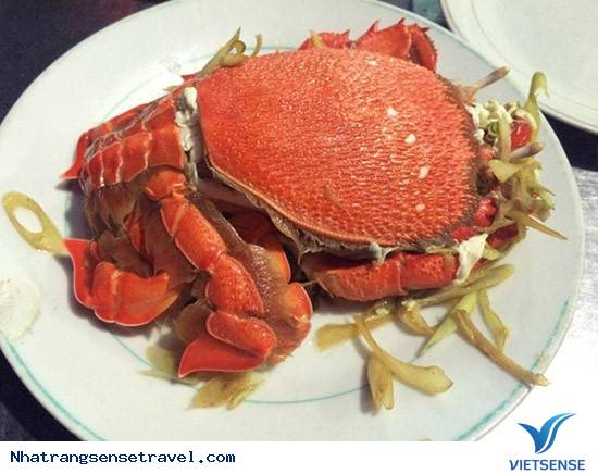 Cua Huỳnh Đế - Ảnh 7