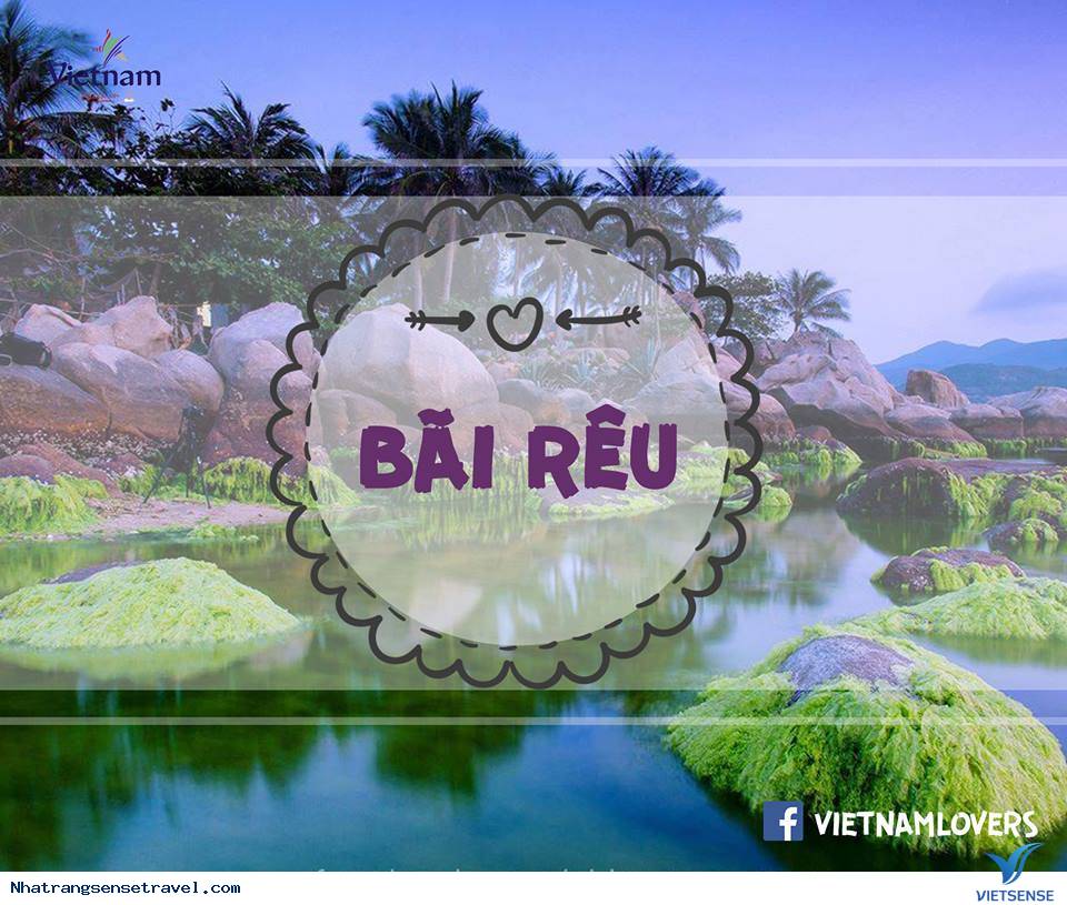 Đảo Bình Hưng - Hòn Ngọc Thô Kỳ Diệu Của Việt Nam - Ảnh 11