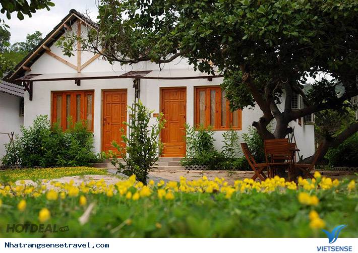 Đảo Bình Lập - Nơi Bình Yên Và Hiền Hòa Của Biển Cả9 Đảo Bình Lập - Nơi Bình Yên Và Hiền Hòa Của Biển Cả