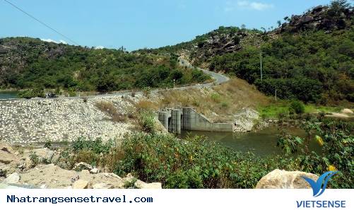 Đảo Bình Lập - Nơi Bình Yên Và Hiền Hòa Của Biển Cả7 Đảo Bình Lập - Nơi Bình Yên Và Hiền Hòa Của Biển Cả