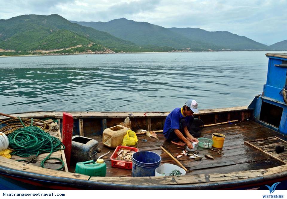 Đảo Bình Tiên - Đứa Con Út Thiên Nhiên Dành Tặng Ninh Thuận - Ảnh 11