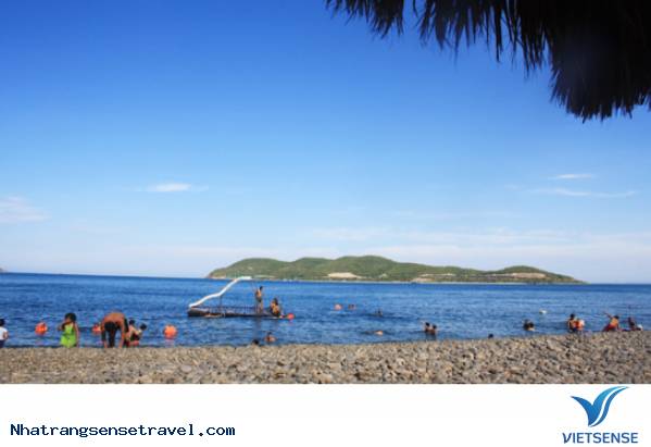 Đảo Hòn Miễu - Đảo Gần Và Mộc Mạc Nhất Trong Vịnh Nha Trang Đảo Hòn Miễu - Đảo Gần Và Mộc Mạc Nhất Trong Vịnh Nha Trang