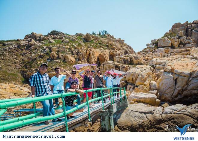 Đảo Yến - Độc Đáo Bãi Tắm Đôi Duy Nhất Ở Việt Nam - Ảnh 2 Đảo Yến - Độc Đáo Bãi Tắm Đôi Duy Nhất Ở Việt Nam - Ảnh 2