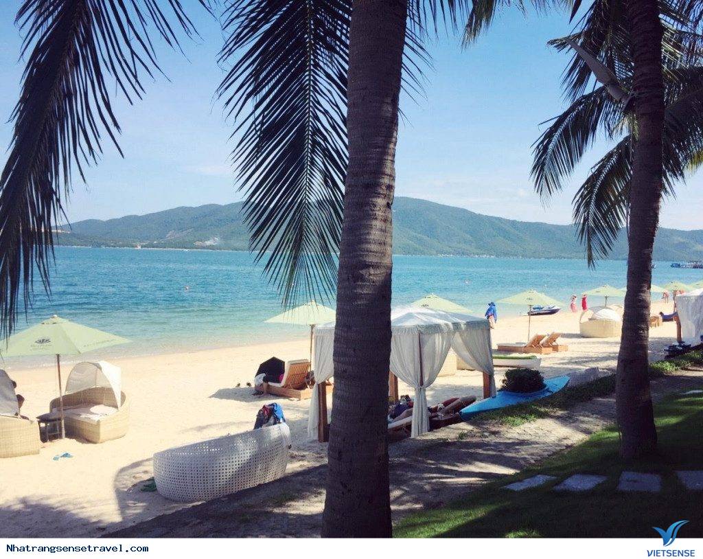 Đến Hòn Tằm bằng cách nào? Đến Hòn Tằm bằng cách nào?