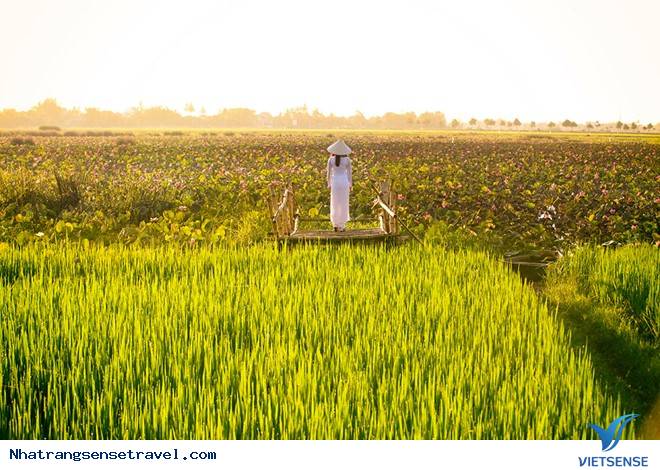 Tà Áo Dài Việt Nam