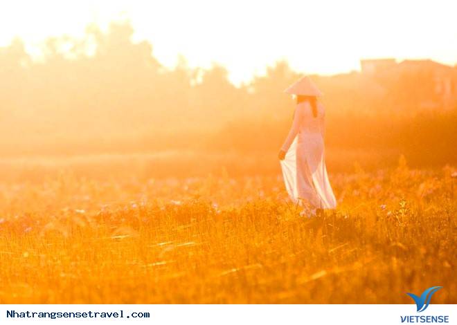 Tà Áo Dài Việt Nam