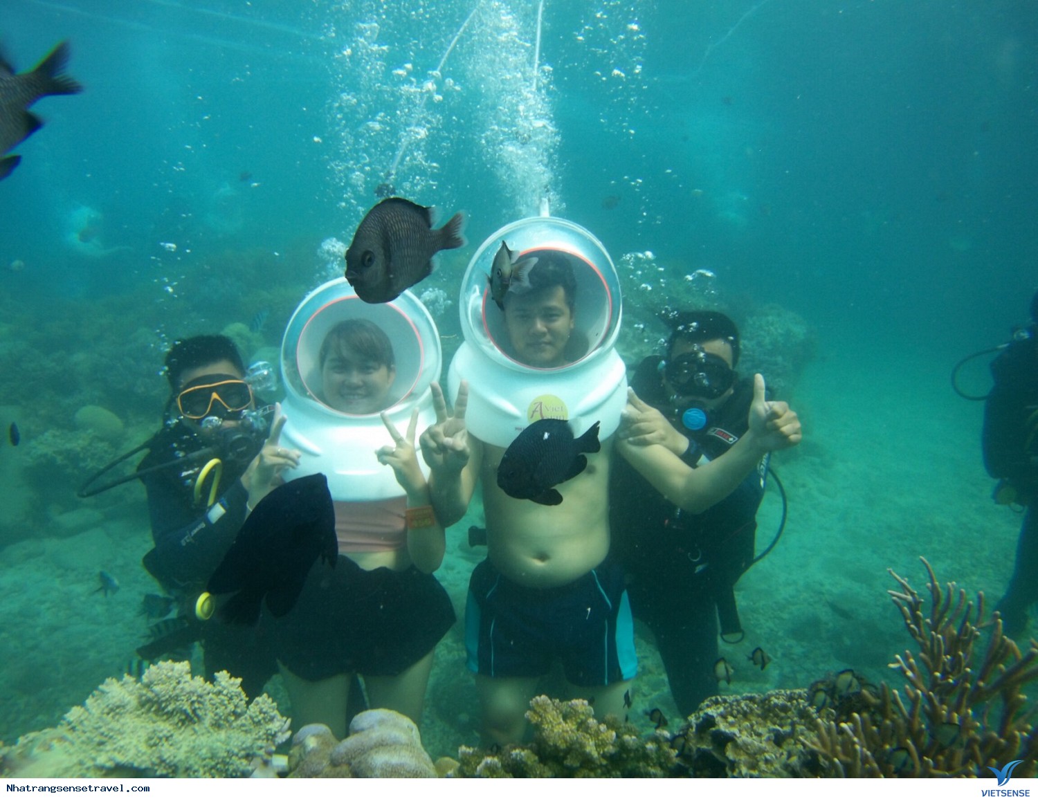 Đi bộ dưới biển Đi bộ dưới biển