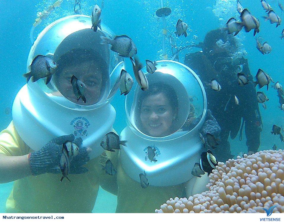 Đi Bộ Dưới Đáy Biển Nha Trang