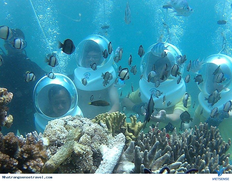Đi Bộ Dưới Đáy Biển Nha Trang