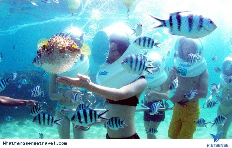 Đi Bộ Dưới Đáy Biển Nha Trang