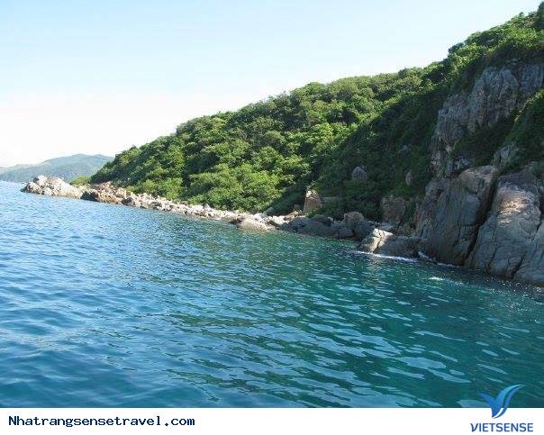 Đi Bộ Dưới Đáy Biển Nha Trang