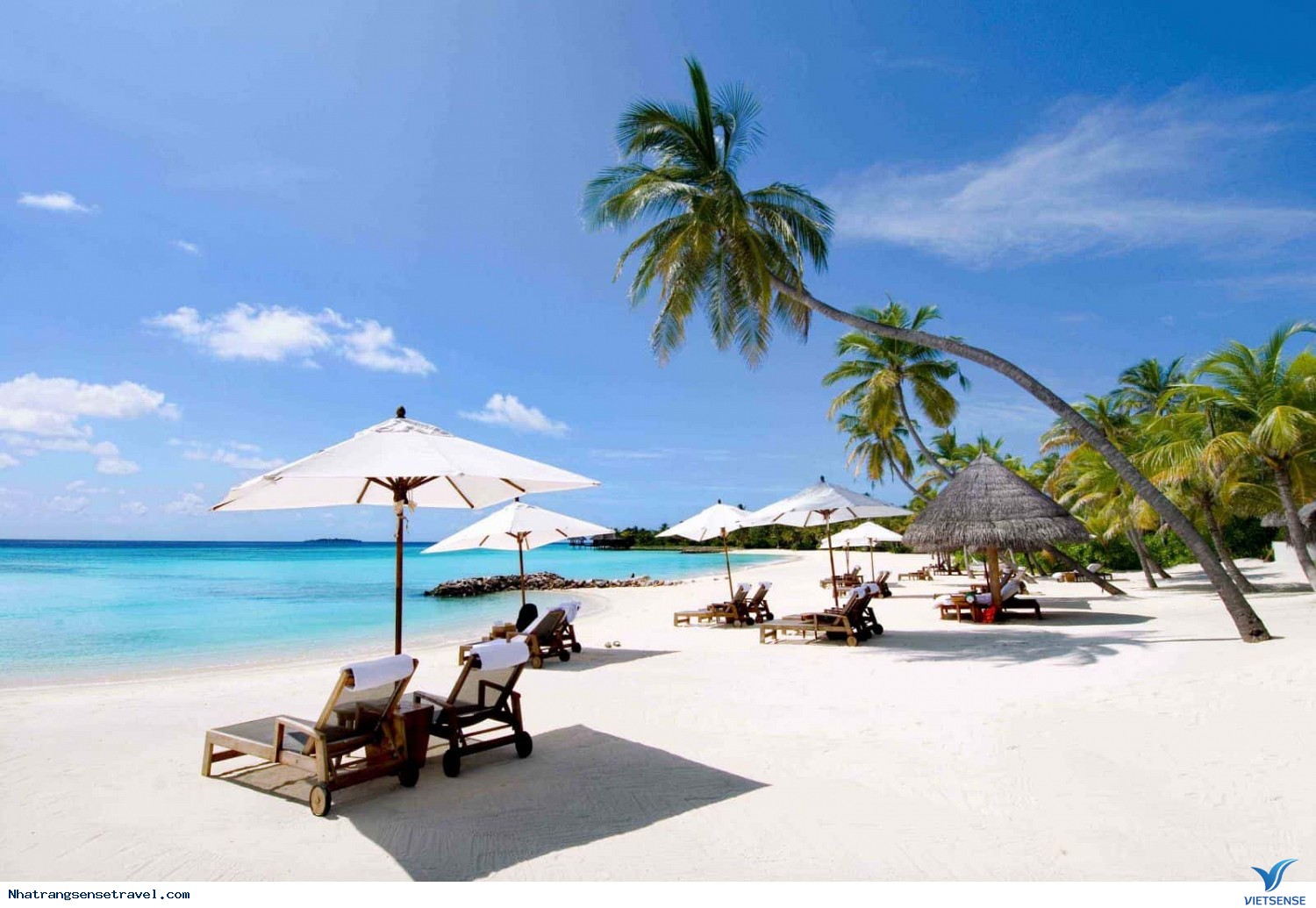 Địa chỉ Bãi Dài Nha Trang ở đâu? Địa chỉ Bãi Dài Nha Trang ở đâu?