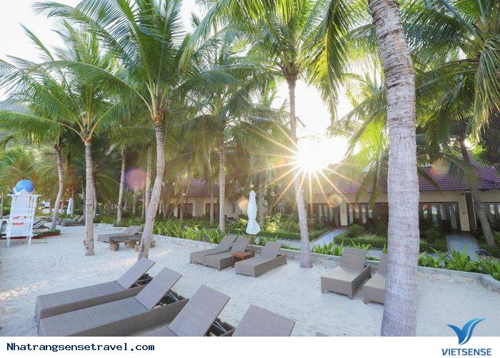 Dịch vụ nghỉ dưỡng tại bãi biển Nhũ Tiên - Ảnh 2 Dịch vụ nghỉ dưỡng tại bãi biển Nhũ Tiên - Ảnh 2