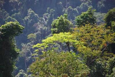 Đỉnh Hòn Bà - Đà Lạt Của Thành Phố Biên - Ảnh 3 Đỉnh Hòn Bà - Đà Lạt Của Thành Phố Biên - Ảnh 3