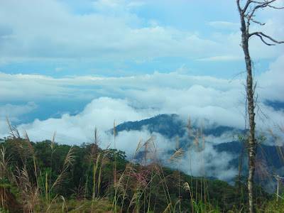 Đỉnh Hòn Bà - Đà Lạt Của Thành Phố Biên - Ảnh 4 Đỉnh Hòn Bà - Đà Lạt Của Thành Phố Biên - Ảnh 4