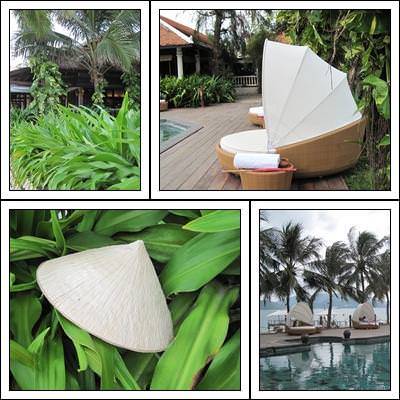 Discover Nha Trang - đã có những con người yêu Nha Trang như thế - Ảnh 4