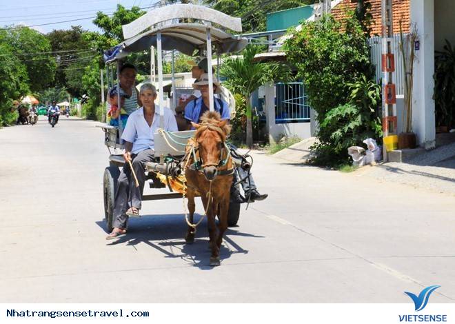 Độc Đáo Khám Phá Ngoại Ô Nha Trang Bằng Xe Ngựa - Ảnh 1