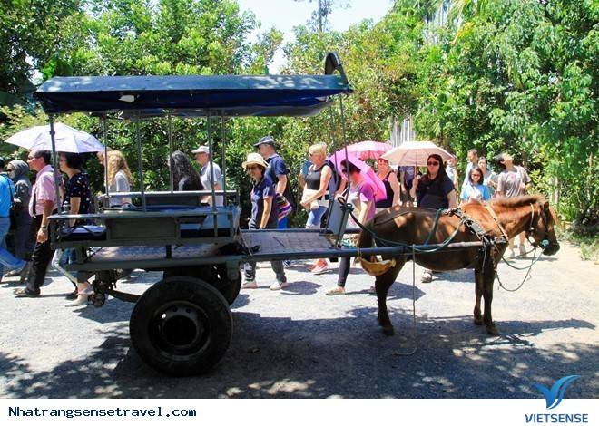 Độc Đáo Khám Phá Ngoại Ô Nha Trang Bằng Xe Ngựa - Ảnh 2